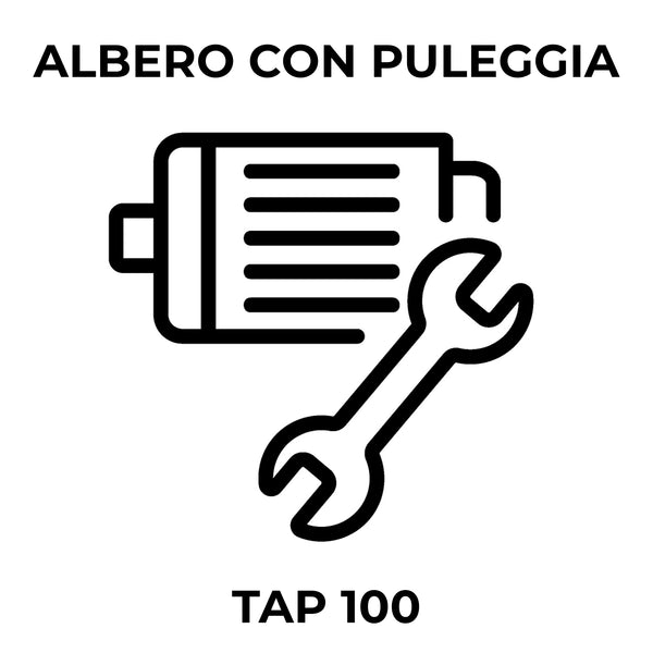 Albero con Puleggia TAP 100