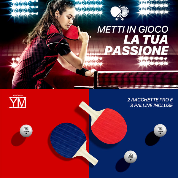 Tavolo da Ping Pong da interno professionale